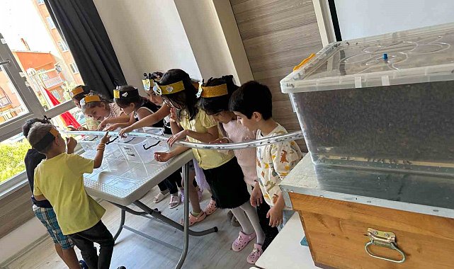 Minikler, arılarla buluştu balın yolculuğunu öğrendi
