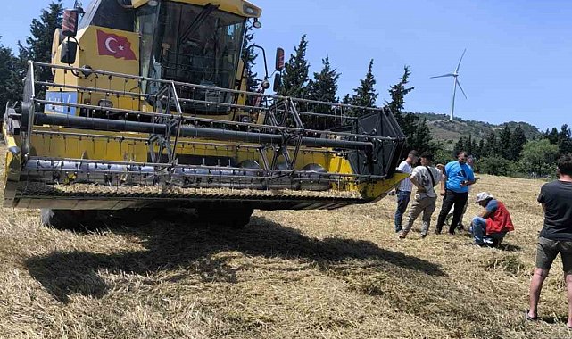 Muğla'da Biçerdöverle hububat hasadı başladı