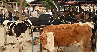 Muğla'da kurban kesim ücretleri belli oldu