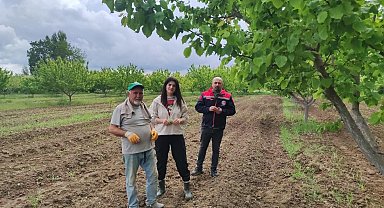 Mühendisler kayısı hastalıkları ve zararlılarına ilişkin gözlemde bulundular