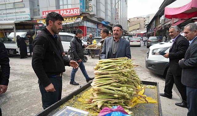 Muş'ta 'yayla muzu' tezgahlarda yerini aldı