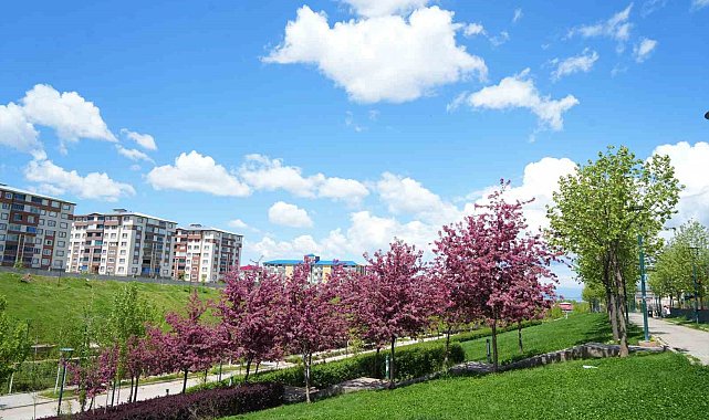 Muş'ta çiçek açan meyve ağaçları kartpostallık görüntüler oluşturdu