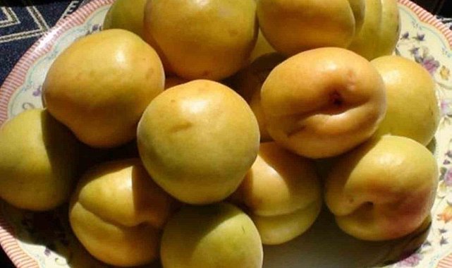 Mut Karacaoğlan Kayısı Kültür ve Sanat Festivali 30 Mayıs'ta