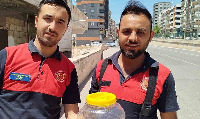 Mutfakta görülen yılan, paniğe neden oldu