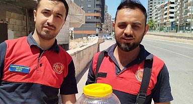 Mutfakta görülen yılan, paniğe neden oldu