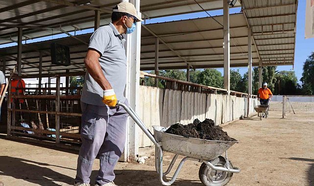 Nazilli Belediyesi'nden hayvan pazarında temizlik seferberliği