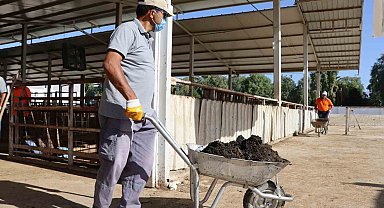 Nazilli Belediyesi'nden hayvan pazarında temizlik seferberliği