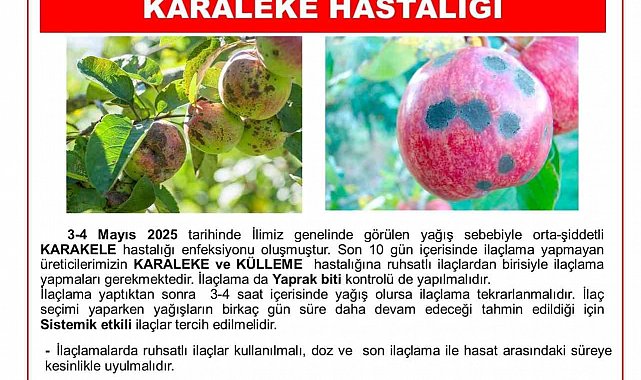 Niğde Tarım İl Müdürlüğü'nden Karaleke Uyarısı: Üreticiler ilaçlama yapmalı
