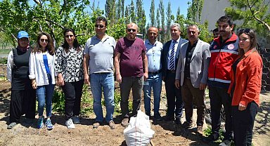 Niğde'de üreticilere 33 bin adet salep yumrusu dağıtıldı