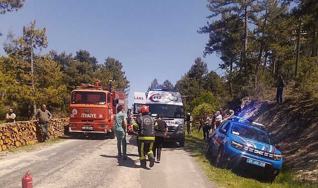 Odun sterine çarpan otomobil takla attı