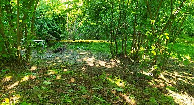 Ordu'da yaşlı adam, fındık bahçesinde ölü bulundu