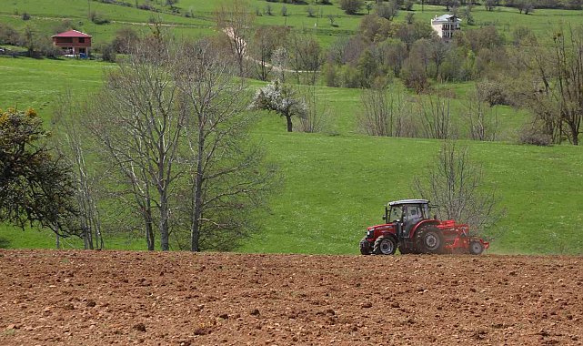 Ordu'nun atıl arazileri bereketleniyor: 34 bin 800 dekar atıl arazi tarıma kazandırıldı