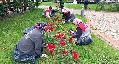 Ordu'nun dört bir yanı çiçek bahçesine dönüştürüldü