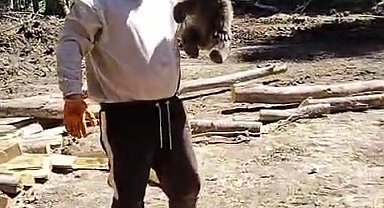 Orman işçilerinin yanına gelen yavru ayı koruma altına alındı