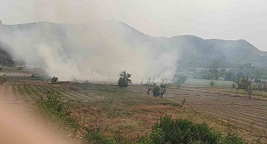 Osmaneli'de anız yangını söndürüldü