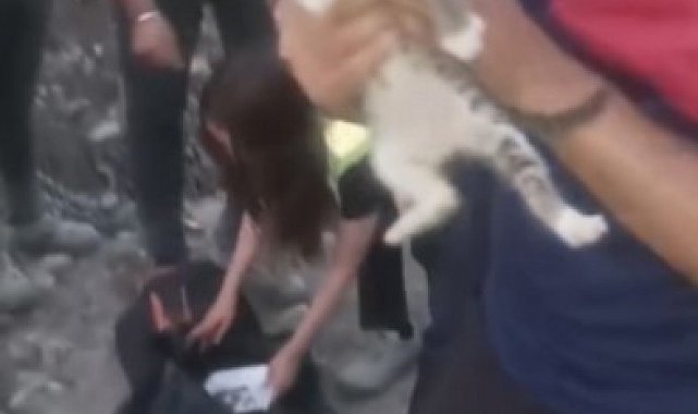 Osmaniye'de inşaat alanında bulunan kuyuya düşen yavru kedi kurtarıldı