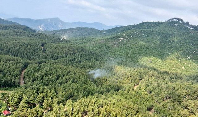 Osmaniye'de ormanlık alanlara girişler yasaklandı