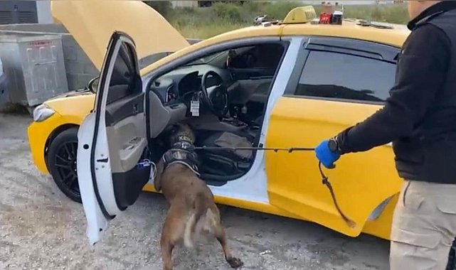 Osmaniye'de uyuşturucu operasyonu: 13 tutuklama