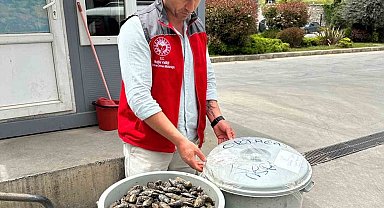 Otobüsün bagajında çöp kovasında taşınan 100 kilo midyeye el konuldu