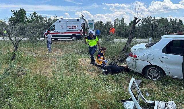 Otomobil zeytinliğe uçtu