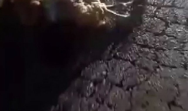 Otomobilin çarptığı 10 küçükbaş hayvan telef oldu