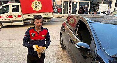 Otomobilin motor kısmına giren yavru kediyi itfaiye kurtardı