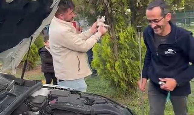 Otomobilin motoruna sıkışan yavru kedi kurtarıldı