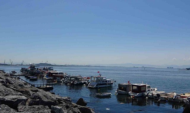 Pendik'te balıkçılara sürpriz: Oltaya köpek balığı takıldı