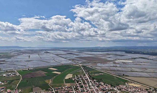 Pirinç ekilen alanlar havadan böyle görüntülendi: Venedik değil İpsala Ovası