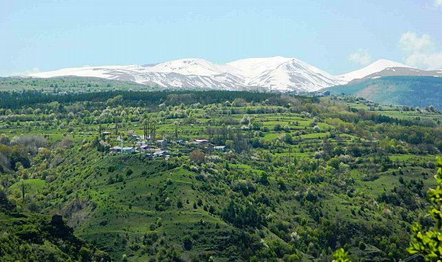 Posof'ta baharla gelen güzellikler