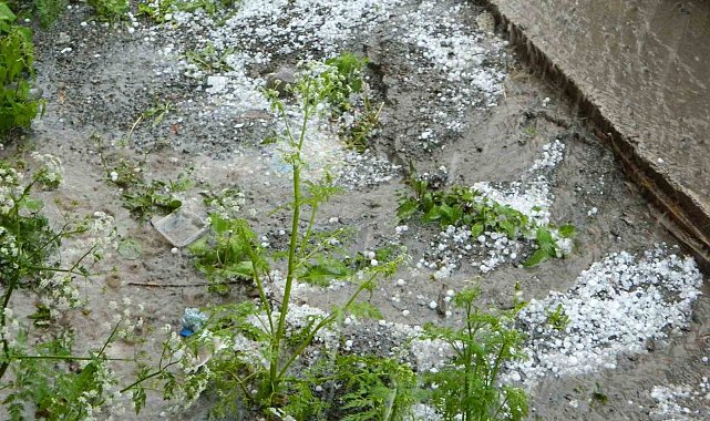 Posof'ta dolu etkili oldu