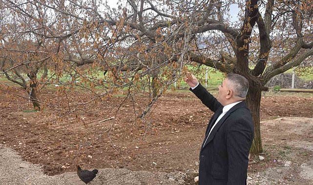 Sadıkoğlu: "Verilecek destekler sadece kayısıyı değil, şehrimizin geleceğini ilgilendiriyor"