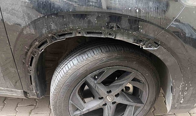 Sahipsiz köpek sürüsü park halindeki araca saldırarak zarar verdi