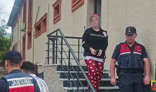 Sahte alıcılar 4 küçükbaş hayvanı çalıp kaçtı: Jandarma yakalandı