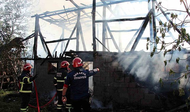 Sakarya'da alevlere teslim olan samanlık küle döndü