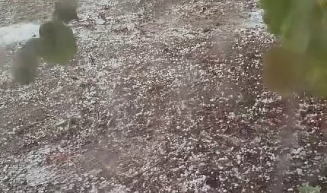 Sakarya'da dolu tarım arazilerini vurdu