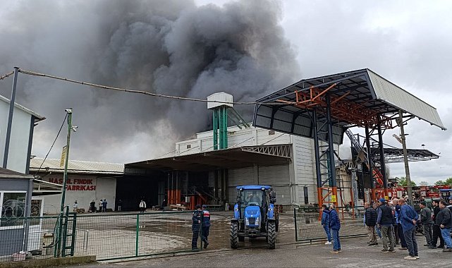 Sakarya'da fabrika yangını
