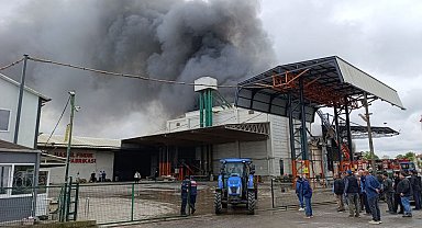 Sakarya'da fabrika yangını