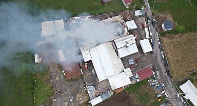 Sakarya'da fındık kırım fabrikasındaki yangın havadan görüntülendi