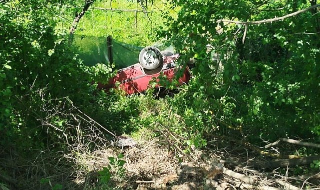 Sakarya'da otomobil şarampole uçtu: Karı-koca yaralandı