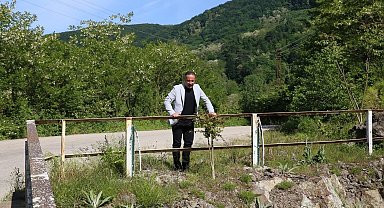 Sakin şehirde yarım asırlık köprü yenileniyor