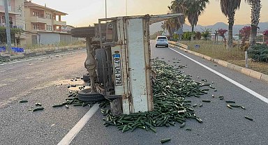 Salatalık yüklü kamyonet devrildi: Salatalıklar yola savruldu
