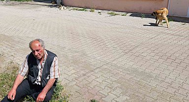 Salda'da köpeklerin saldırısına uğrayan yaşlı adam yaralandı