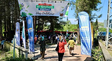 Samsun'da Ot Yemekleri Festivali başladı: Bin 800 farklı ot ve eşsiz tatlar ziyaretçileri bekliyor