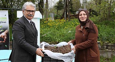Samsun'da üreticilere 150 bin çilek fidesi desteği