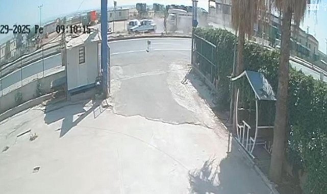 Şanlıurfa'da sokak köpeği zincirleme kazaya neden oldu: 4 yaralı