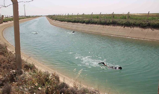 Şanlıurfa'da sulama kanalına düşen çocuk aranıyor