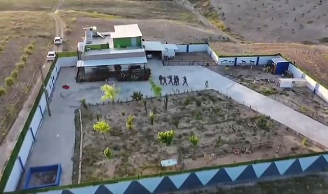 Şanlıurfa'da tefecilik operasyonunda 8 tutuklama