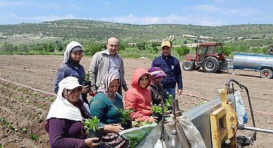 Selendi CHP tarlada çalışan anneleri yalnız bırakmadı