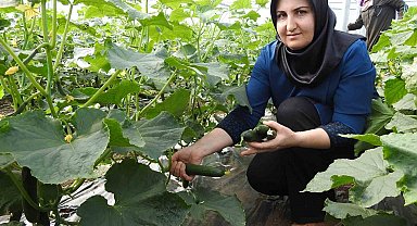 Seracı kadınlar günlük 500 kilo ürün alıyor